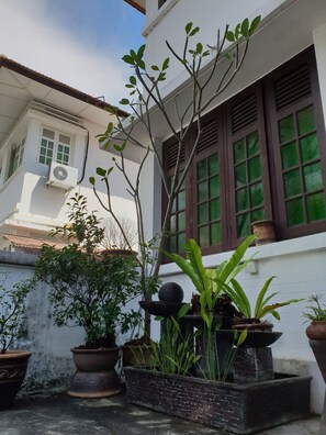 A traditional building with a white facade, a tiled roof, and a window with green glass panes. There are several potted plants in front of the building. - Hommie 1934 (George Town)
