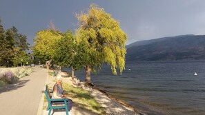 Plage, chaises longues, serviettes de plage