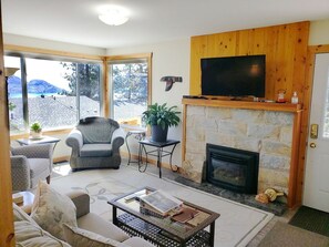 TV connectée, cheminée, Netflix, livres