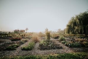 Garden - Guesthouse Bistra (Vrhnika)