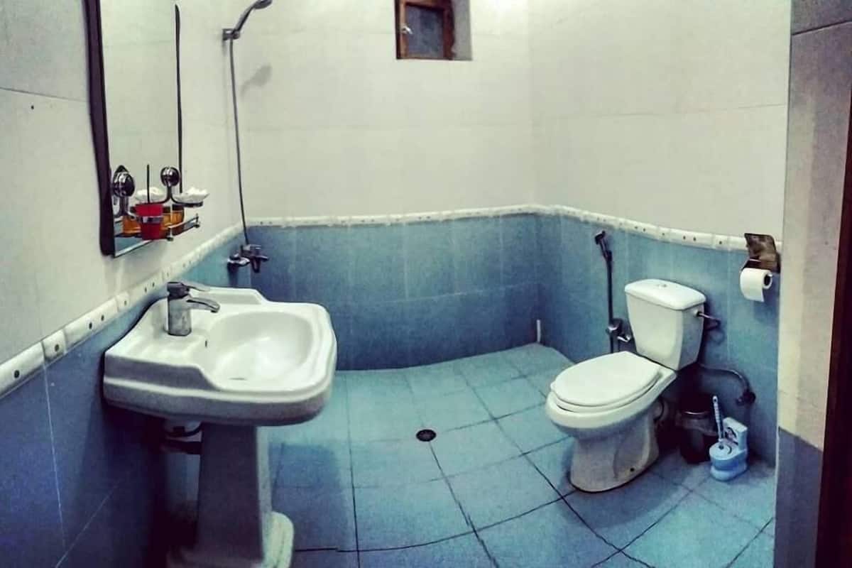 Free toiletries, hair dryer, slippers, towels