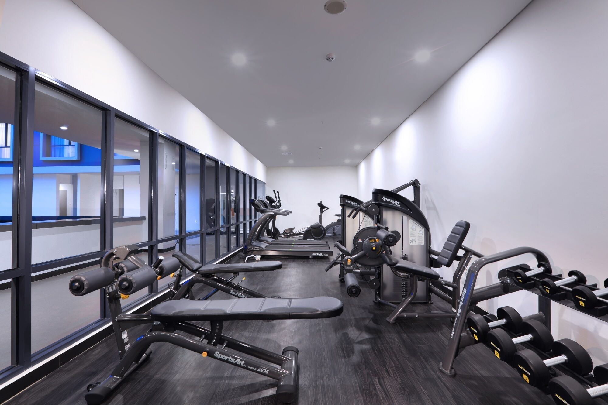 Un gimnasio moderno con máquinas de cardio, bancos de pesas y mancuernas.
