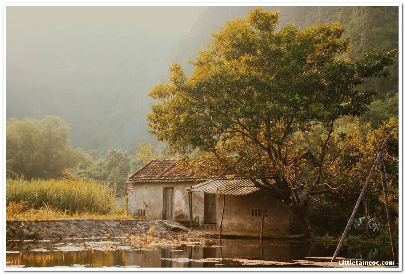 Un bâtiment rustique, doté d’un toit en tuiles, situé au bord d’une étendue d’eau paisible et entouré d’une végétation luxuriante.