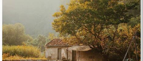 A rustic building with a tiled roof, situated by a calm body of water, surrounded by lush greenery.