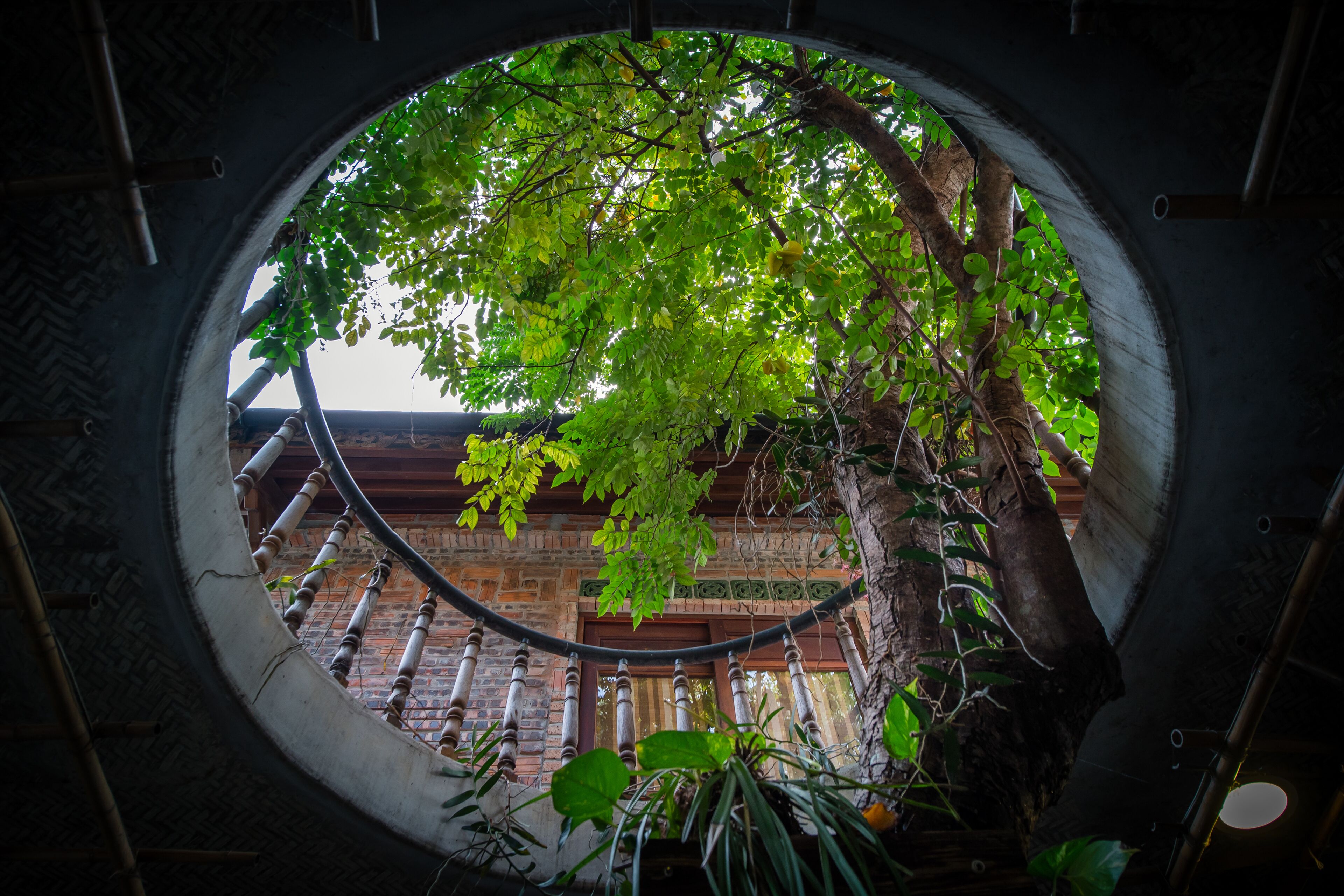 Una ventana circular que ofrece vistas a un edificio de ladrillo y un árbol.