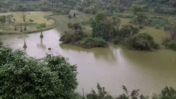A river with trees and bushes along its banks.