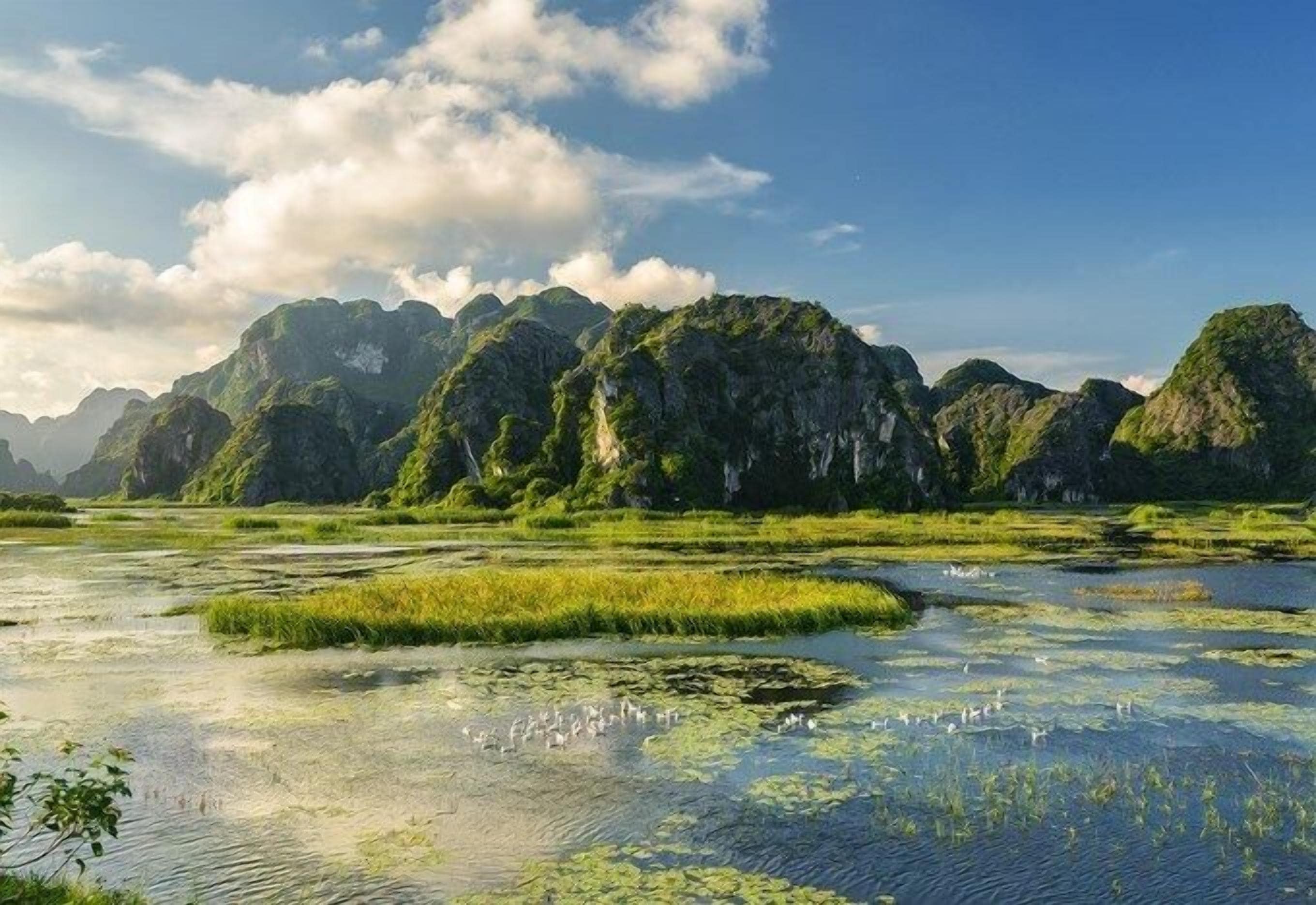 A landscape with water bodies and green vegetation.