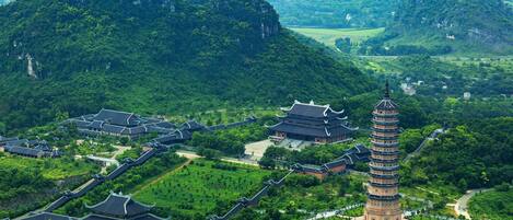 A traditional pagoda surrounded by lush greenery and traditional buildings.
