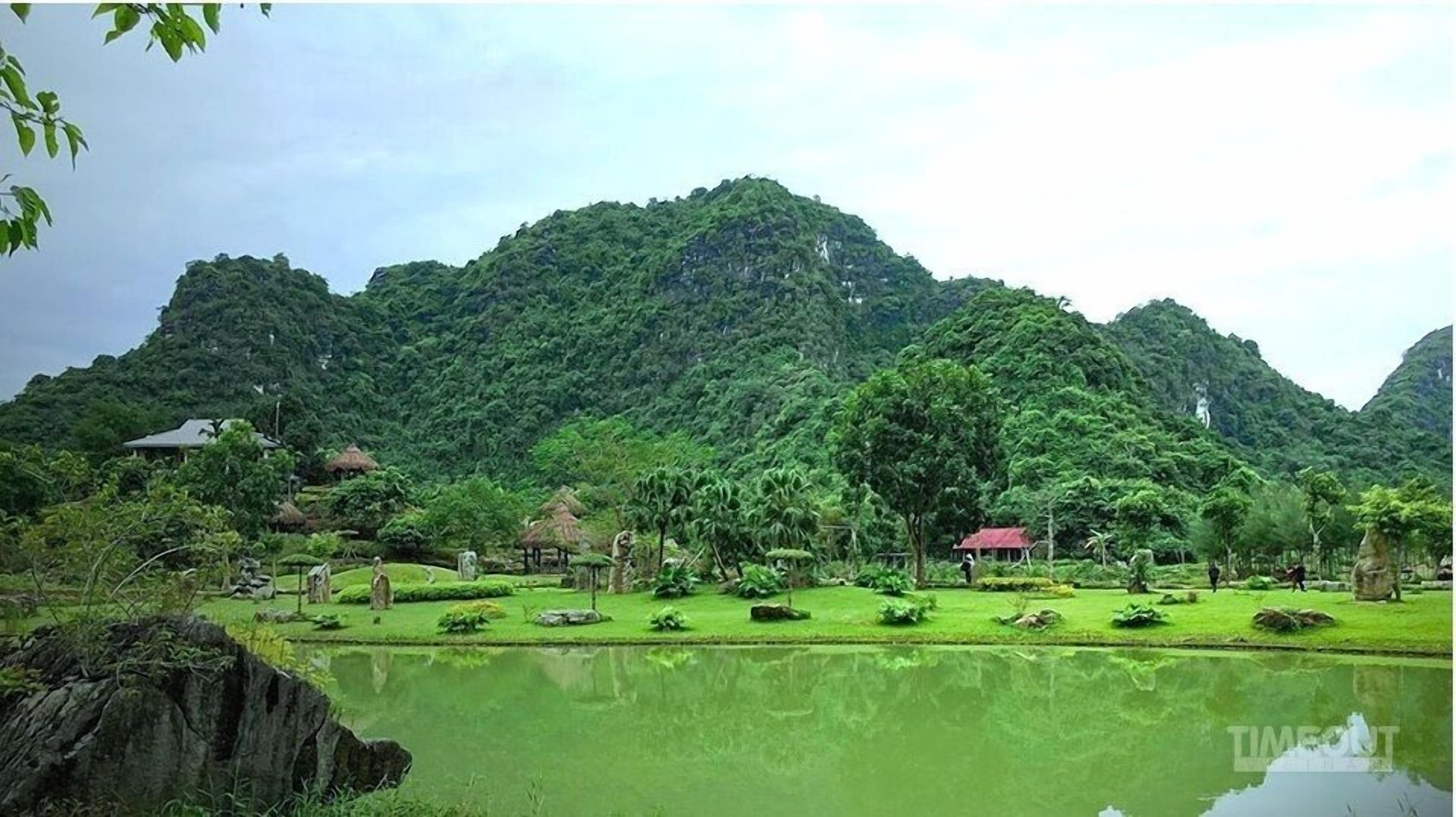 A serene landscape with a pond, lush greenery, and a mountain backdrop.
