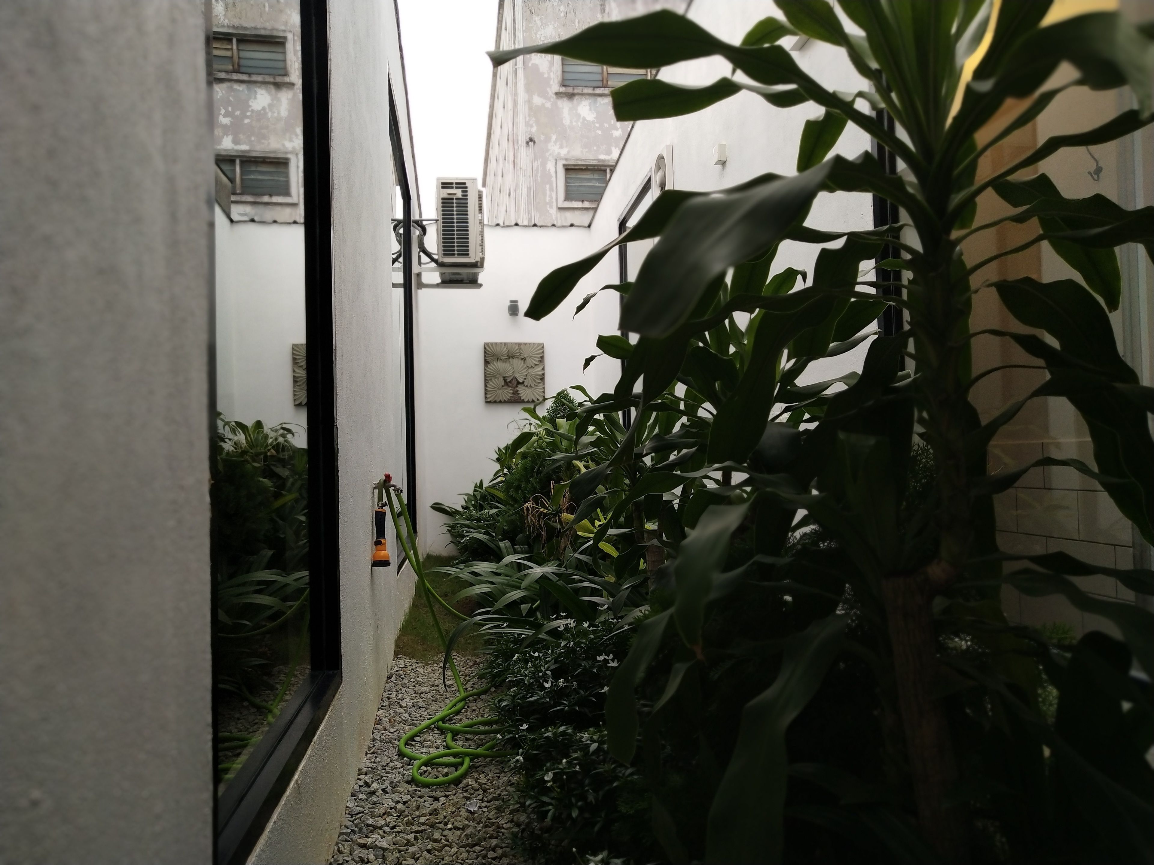 Une ruelle étroite, avec un jardin d’un côté et un immeuble de l’autre.
