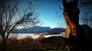 บริเวณภายนอก