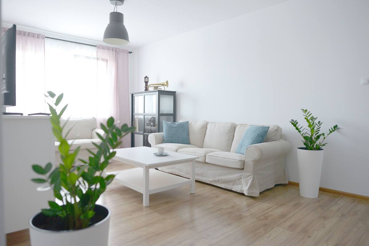 Una sala de estar con un sofá blanco, una mesa de centro, una planta en maceta y un aparador con un tocadiscos.