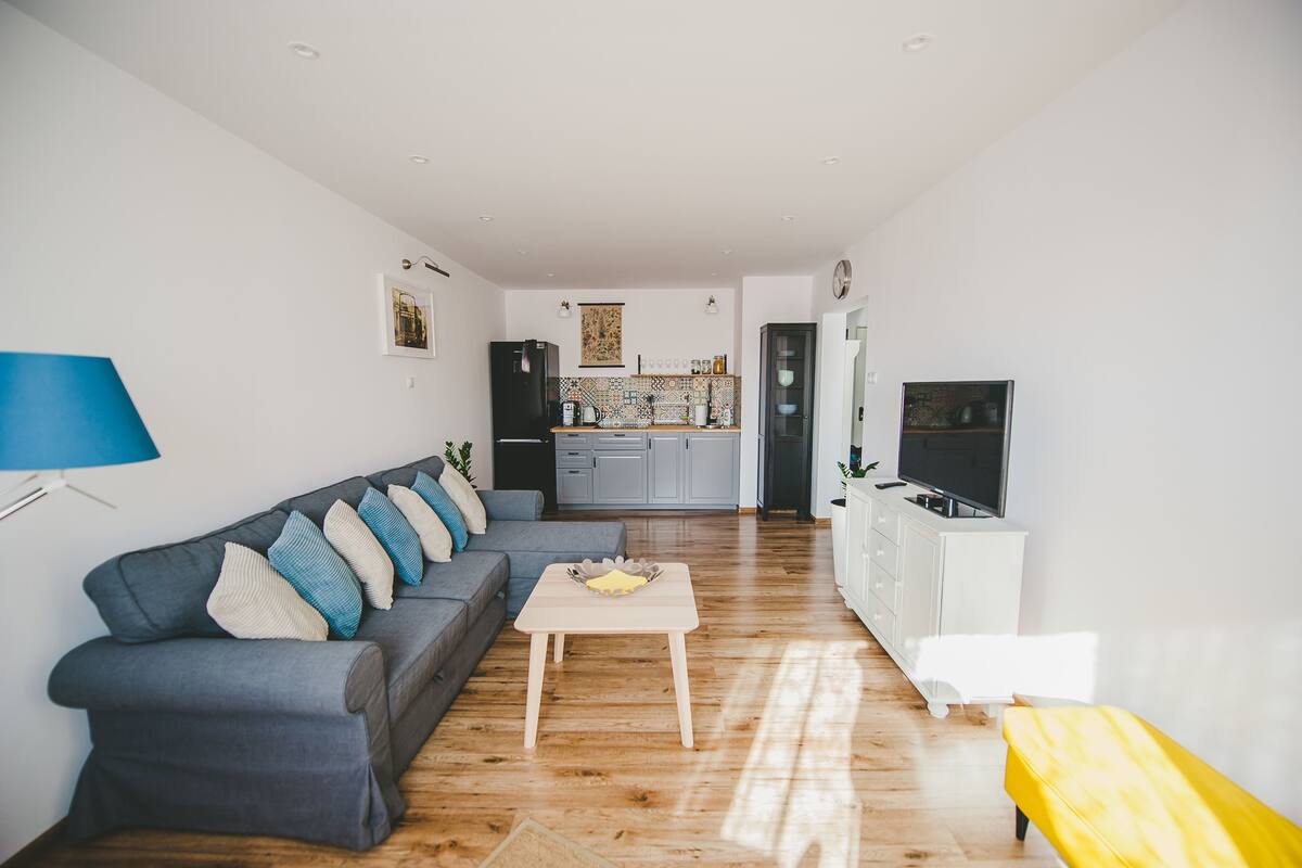 Apartamento Premium (304) | Zona de estar | Una televisión, Netflix, un reproductor de DVD, libros