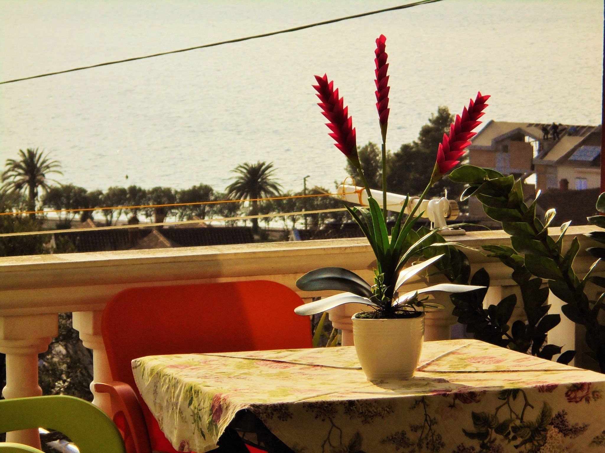 Photo - Villa Lastva