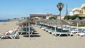 Uma praia com fileiras de espreguiçadeiras sob guarda-sóis de palha, uma palmeira e um hotel ao fundo.