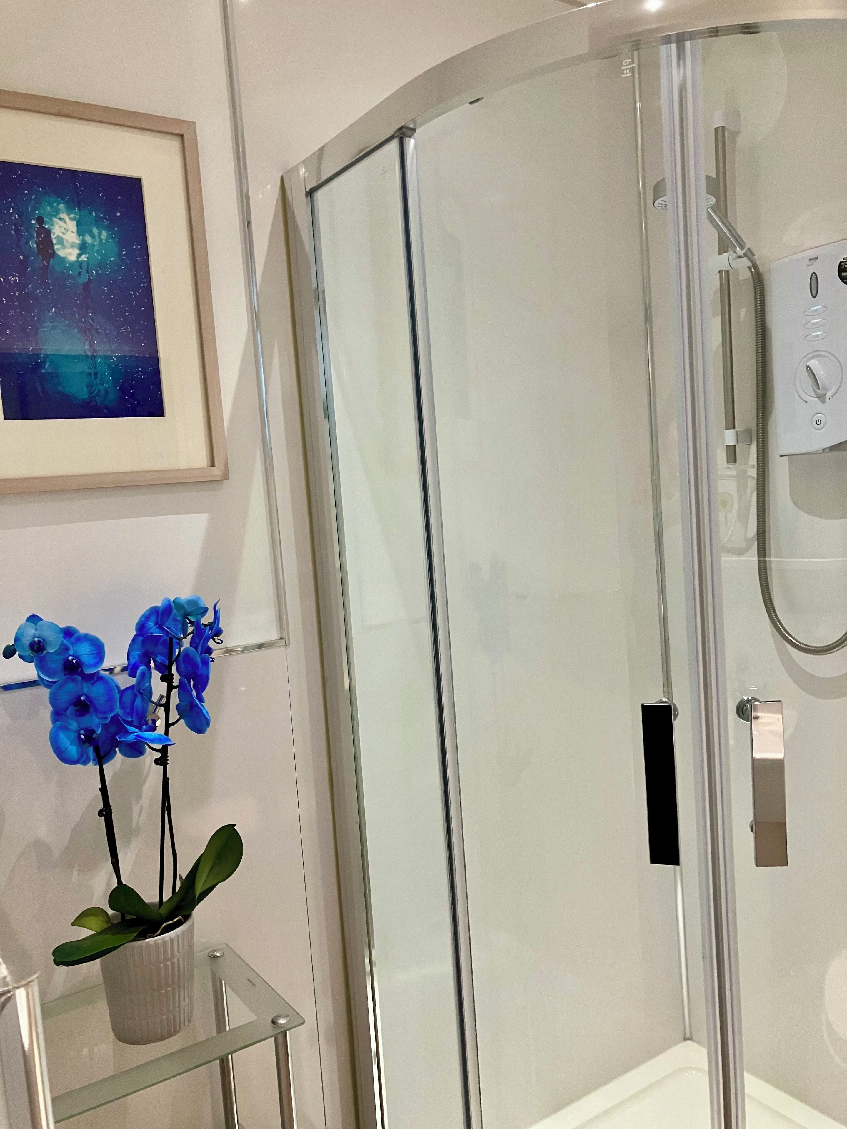 Bathtub, hair dryer, towels, soap