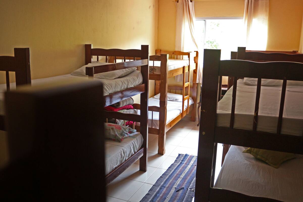 Dormitorio compartido, dormitorio mixto | Wifi gratis y ropa de cama