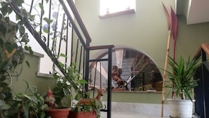 A staircase with marble steps, surrounded by potted plants and a statue of a horse. - Casa con giardino (Turin)