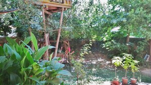 A garden with a wooden deck, potted plants, and a small table with a decorative item. - Casa con giardino (Turin)