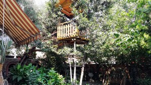 A garden with a wooden pergola, potted plants, and a bicycle. - Casa con giardino (Turin)