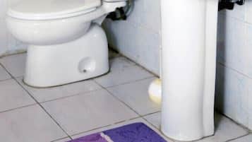Family Apartment, Smoking, City View | Bathroom | Shower, free toiletries, hair dryer, slippers