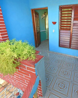 A blue building with a tiled floor, a brick planter with green plants, and a wooden door leading to an interior space. - Caridad and Friends Rooms (Trinidad)