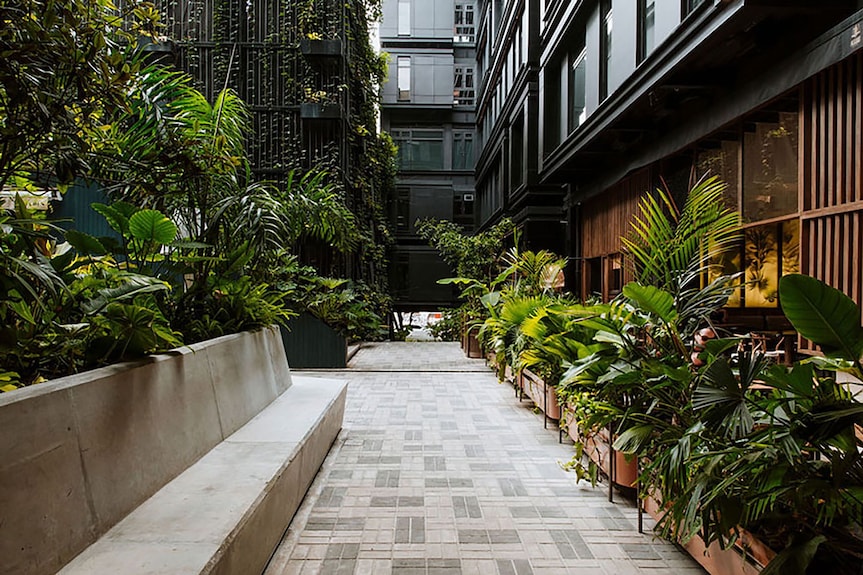 The Click Clack Hotel Medellin en Medellín: ver hotel, precios y opiniones  - Hoteles.com