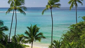 Beach - Schooner Bay 206 - The Palms (Speightstown)