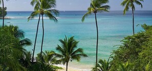 Beach - Schooner Bay 206 - The Palms (Speightstown)