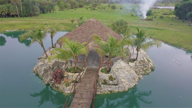 Una cabaña con techo de paja rodeada de palmeras en una pequeña isla en medio del agua.
