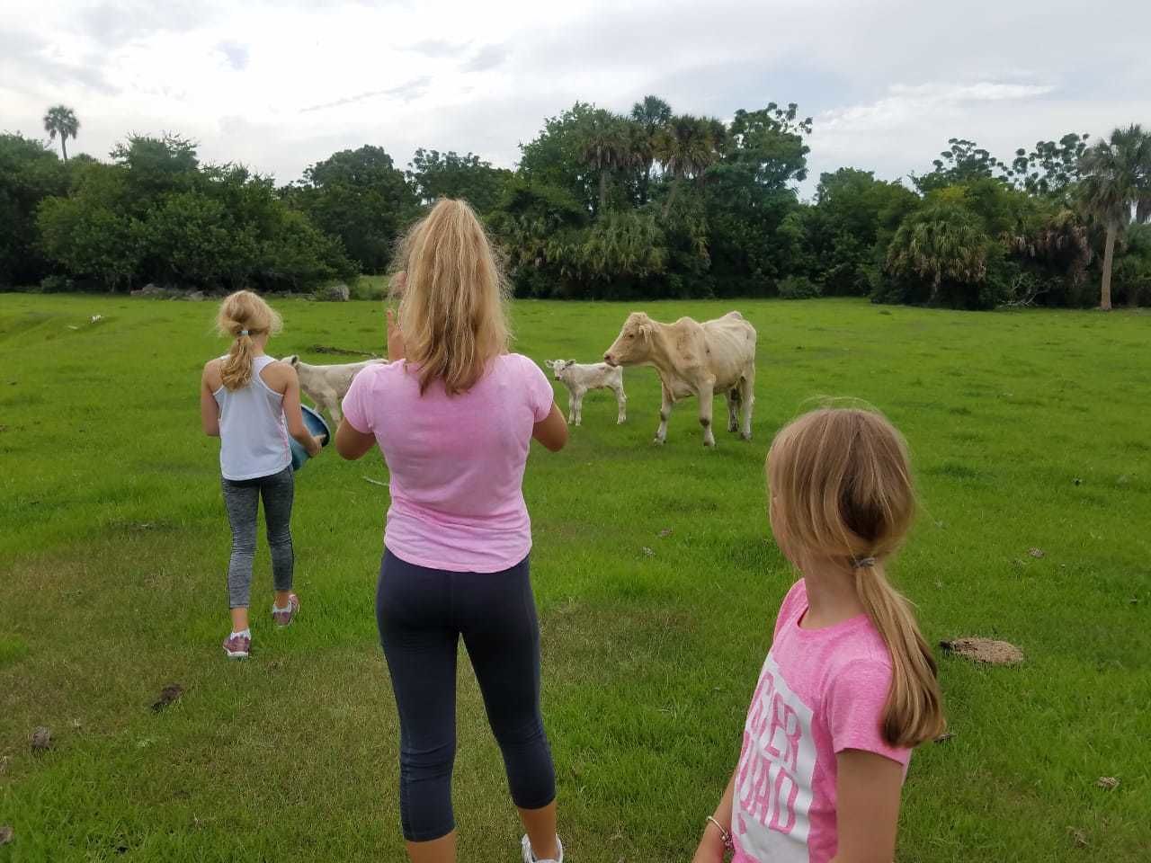 Un grupo de personas en un campo cubierto de hierba, con árboles al fondo.