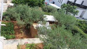 A garden area with various plants and trees, a white building in the background, and a white van labeled "FOODY". - Apartments and Room Thea (Zadar)