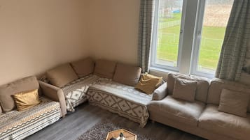 TV, video-game console, Netflix, DVD player