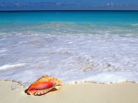 On the beach, sun-loungers, beach towels. Exclusive Beachfront Large Spanish Estate for up to 30 people, WiFi