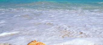 Exclusive Beachfront Large Spanish Estate for up to 30 people, WiFi