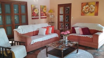 TV, lareira, livros, aparelho de som