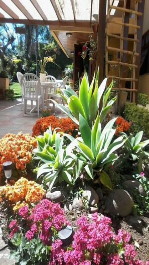 Outdoor dining - PALM TREES HOUSE w / KIOSK + DÉCK (SERRA GAÚCHA) (Bento Gonçalves)