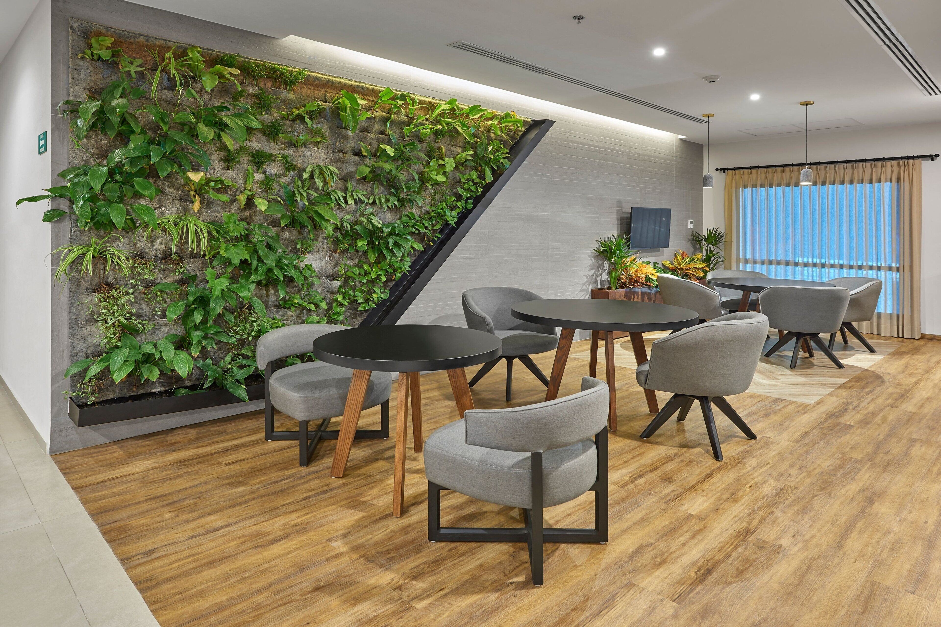 Foto - City Express Plus by Marriott Tijuana