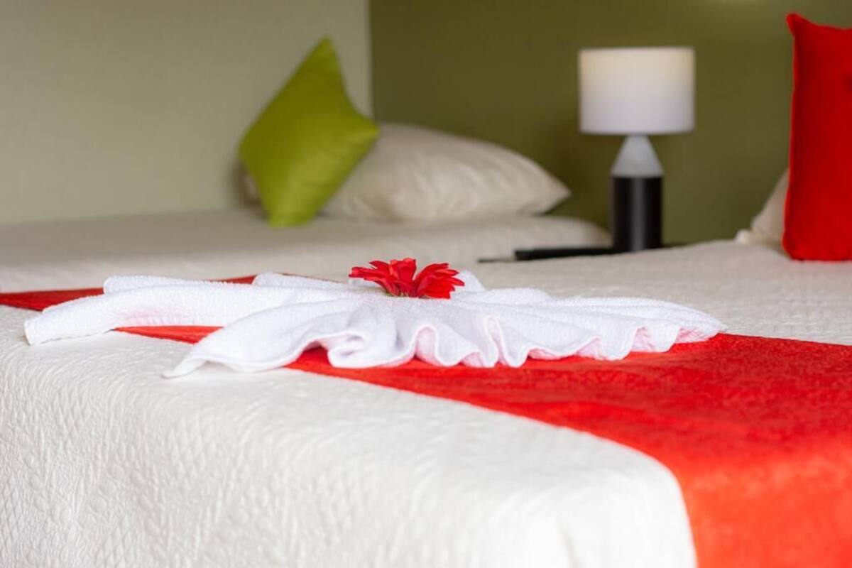 A neatly made bed with a white and red bedspread, a red flower, and a white towel.