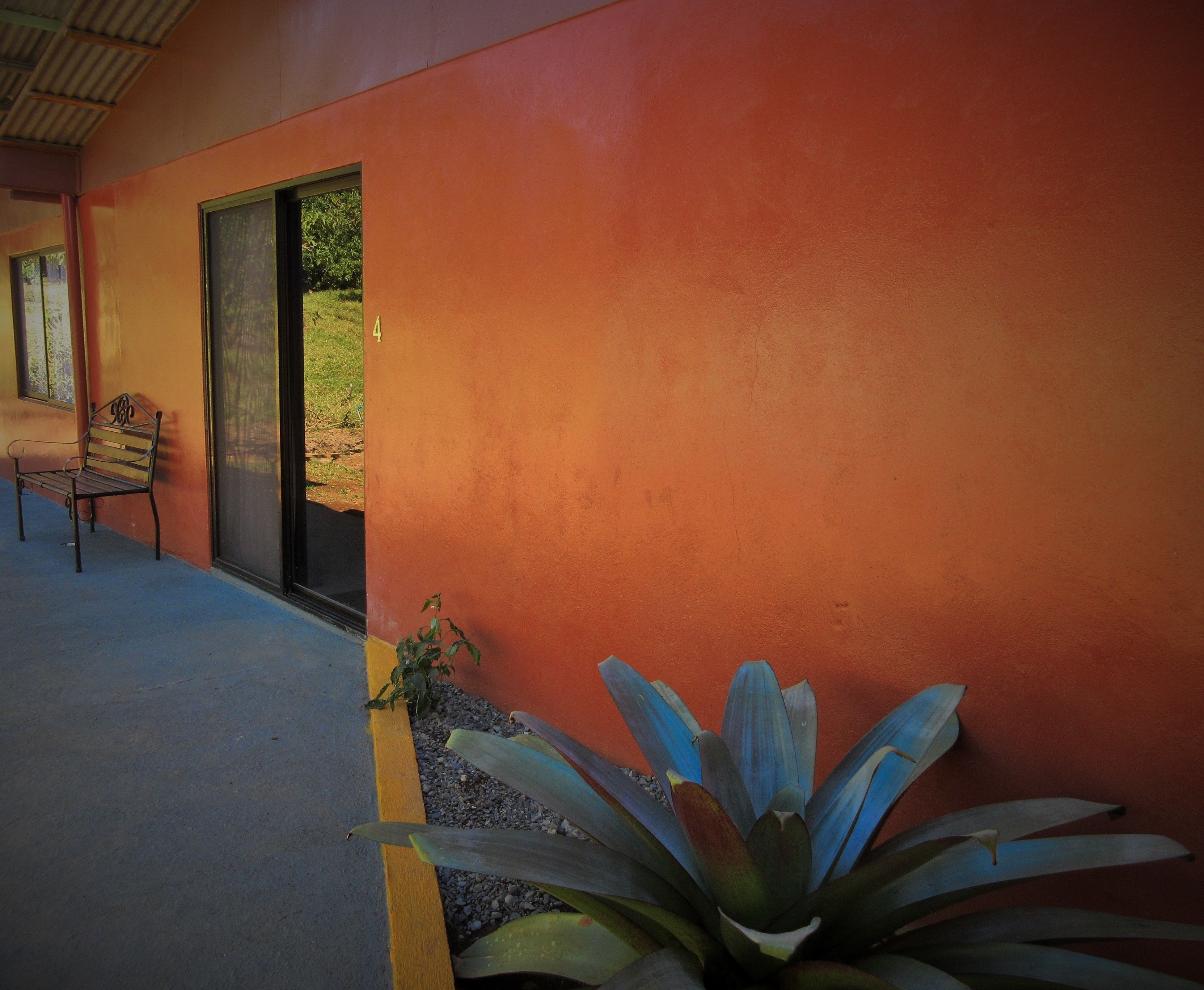 A building with a red exterior wall, a bench, and a plant in the foreground.