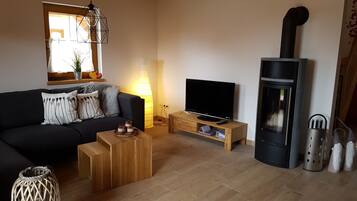 TV, fireplace, DVD player