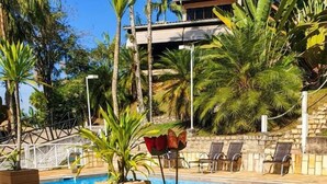 Desayuno junto a la piscina, con una mesa, platos de comida, un jarrón con flores y vistas a la piscina y palmeras.