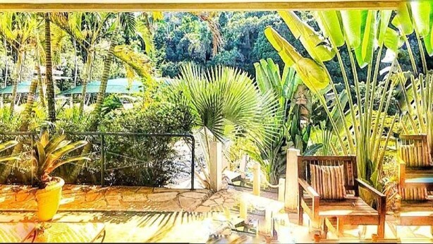 Un patio de jardín tropical con plantas en macetas, un banco de madera y vistas de la vegetación circundante.