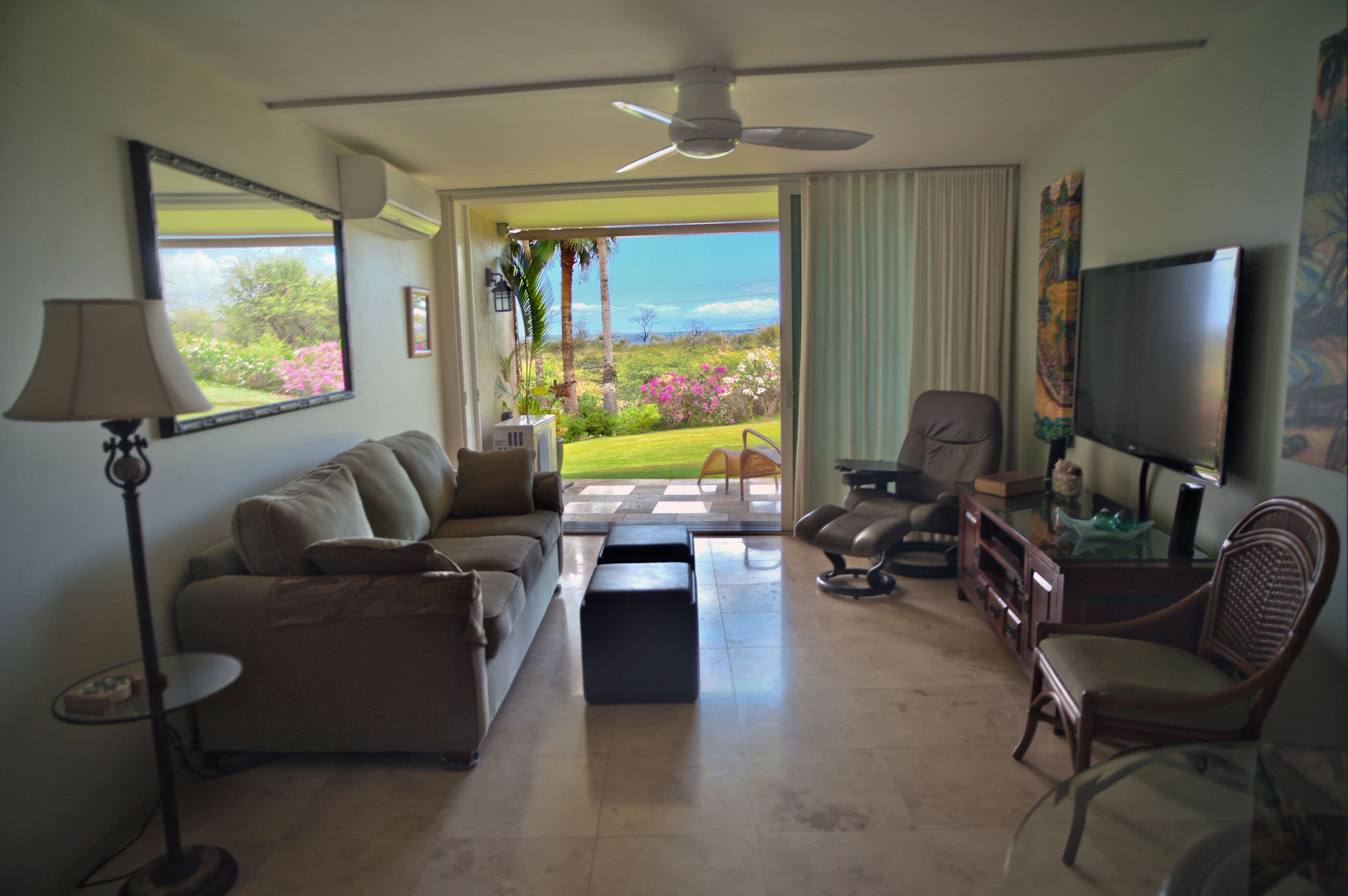 Smart TV, DVD player, books, music library