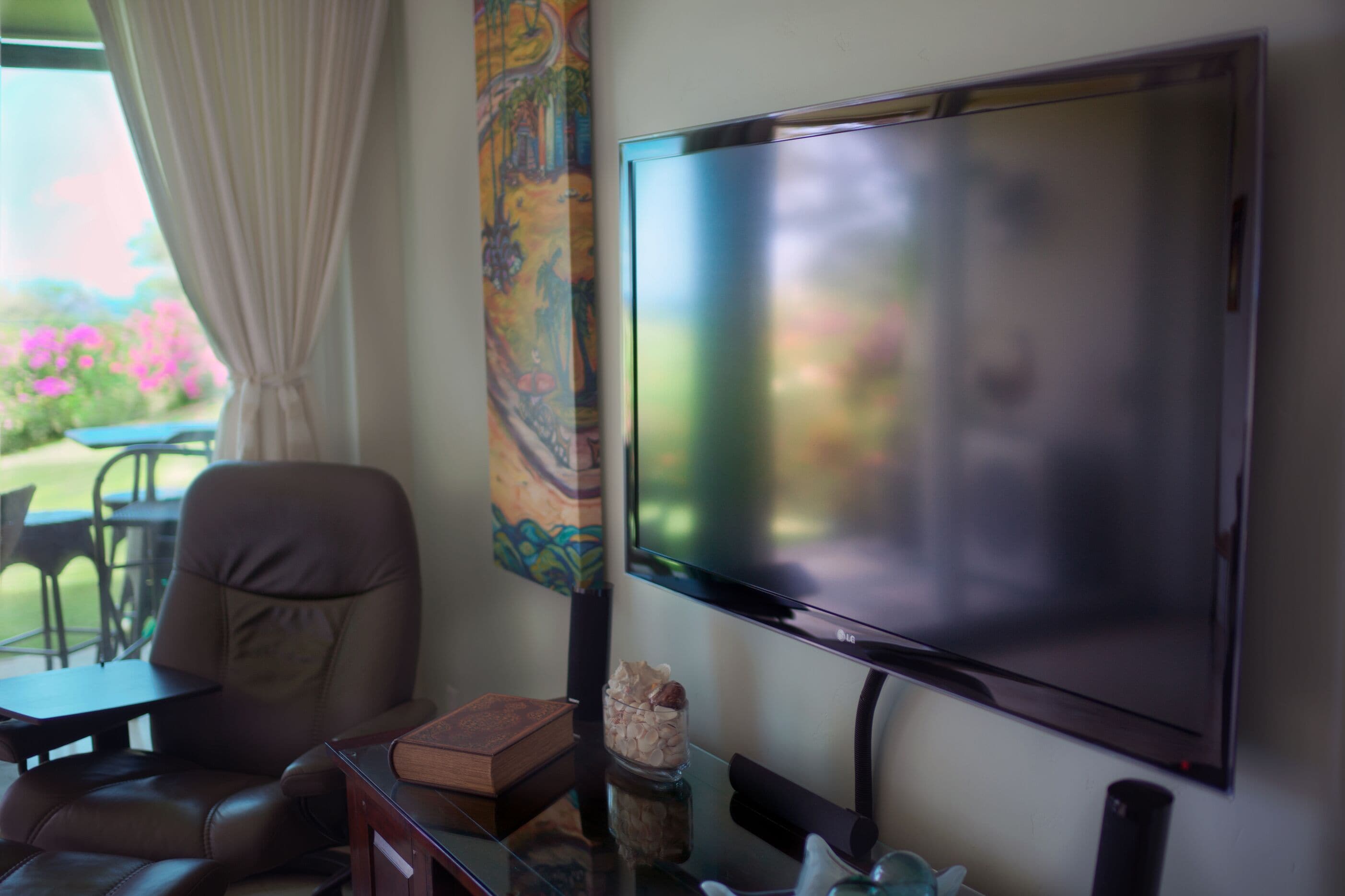 Smart TV, DVD player, books, music library