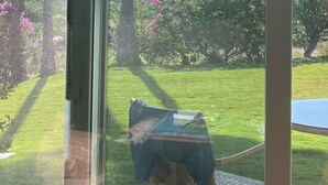 On aperçoit, à travers une porte vitrée, un jardin bien entretenu avec une pelouse, des arbustes et une table accompagnée d’une chaise.