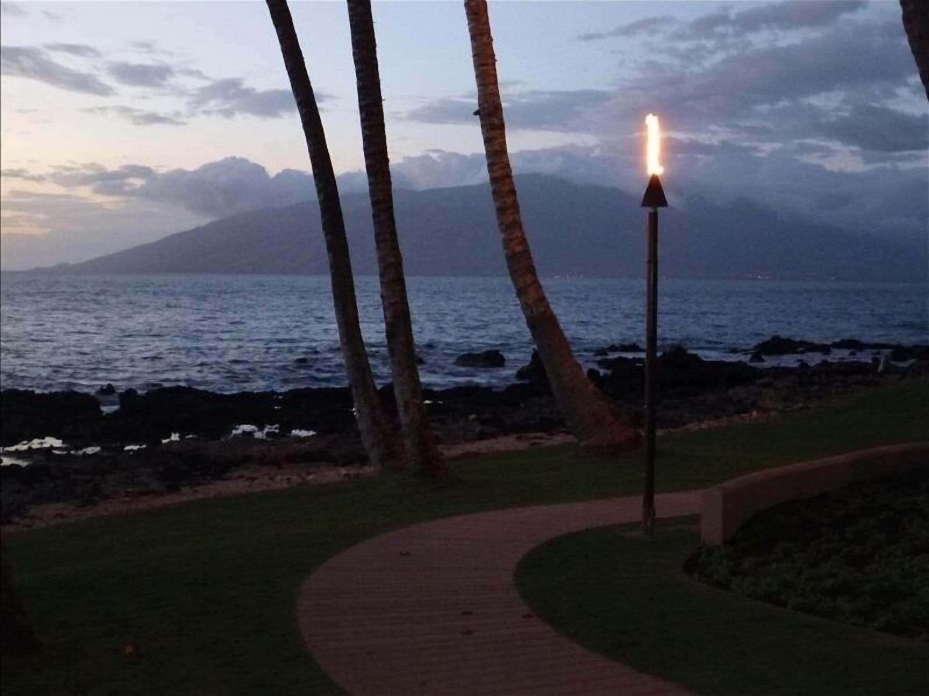 Removed Trees=stunning ocean sunsets,@Wailea Beaches, Green, and Foodie Kitchen! - Photo 26