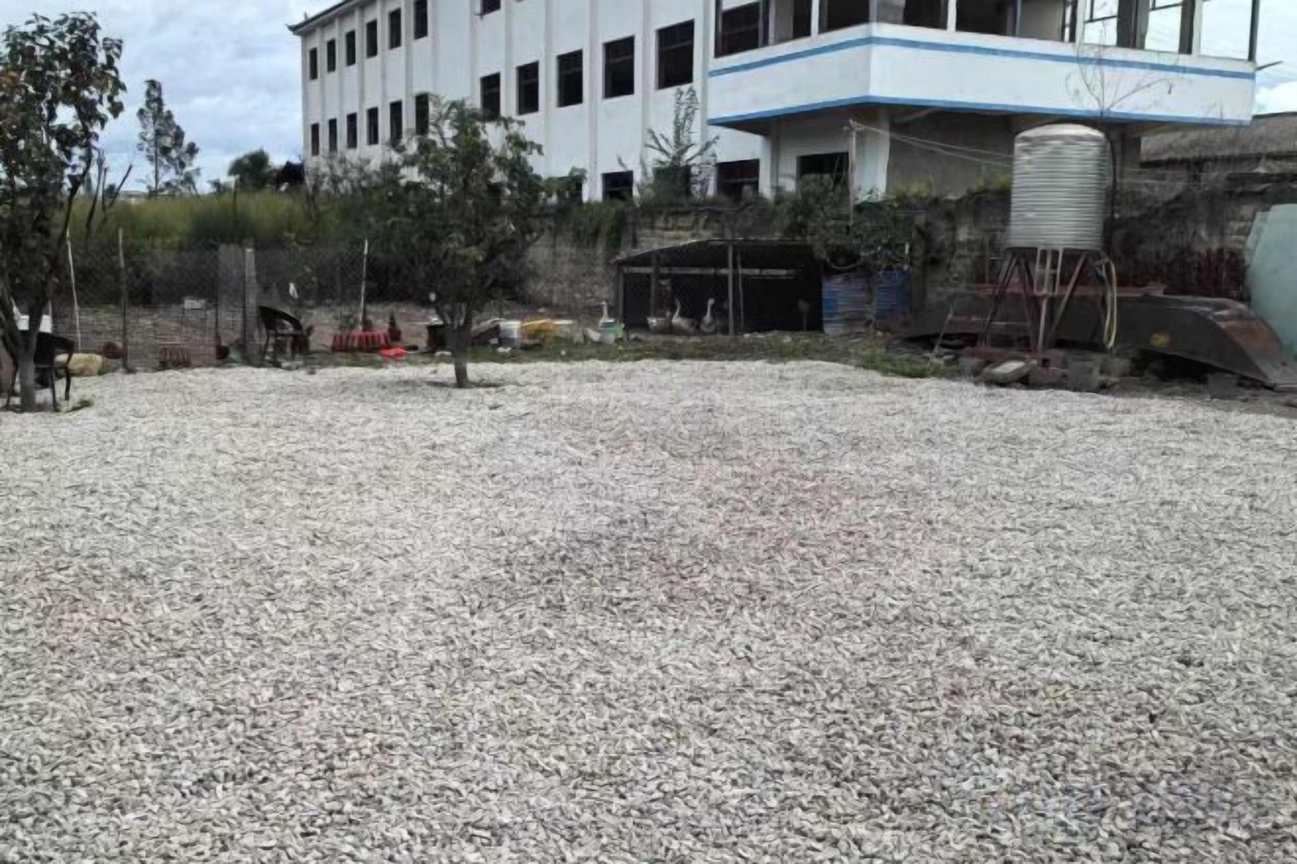 A gravel-covered outdoor area with a building in the background.