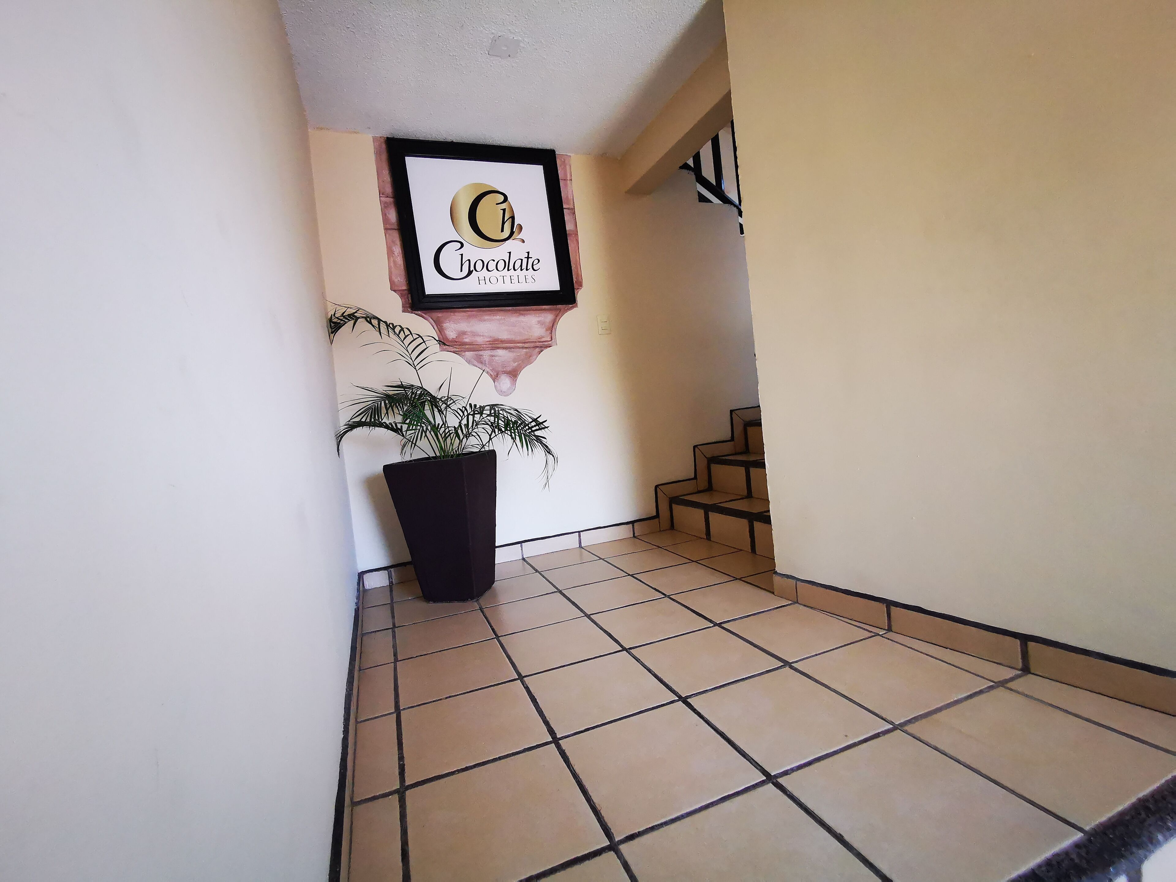 Foto - Hotel Chocolate Tradicional