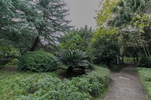 Un sentier bordé d’une végétation luxuriante et d’arbres.